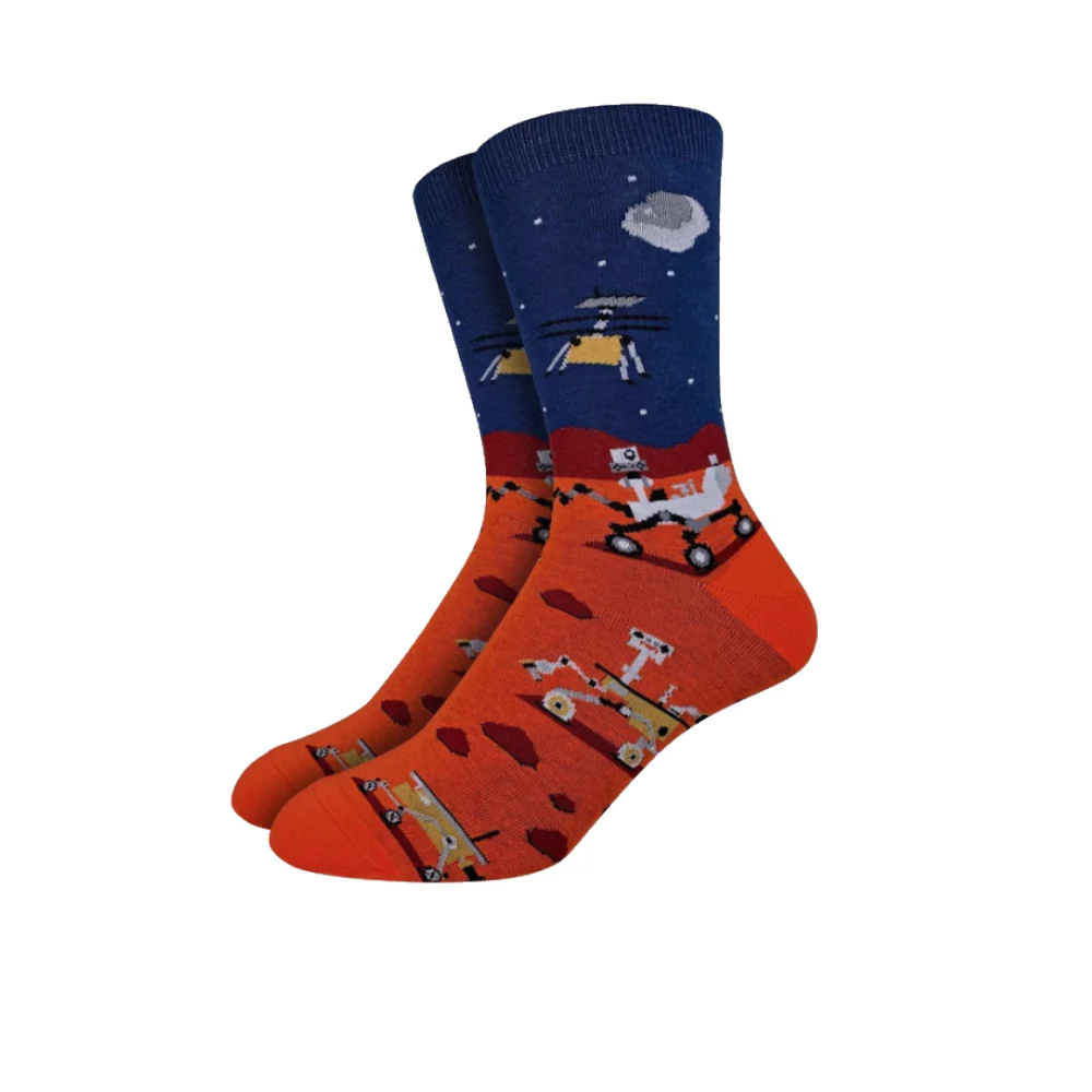 Good Luck Mars Rover Socks